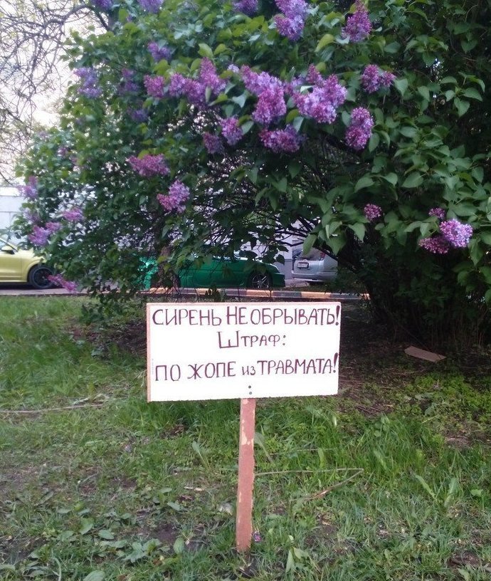 Не слишком ли? НЕЛЬЗЯ, запреты, знаки, прикол, странности, табу, юмор