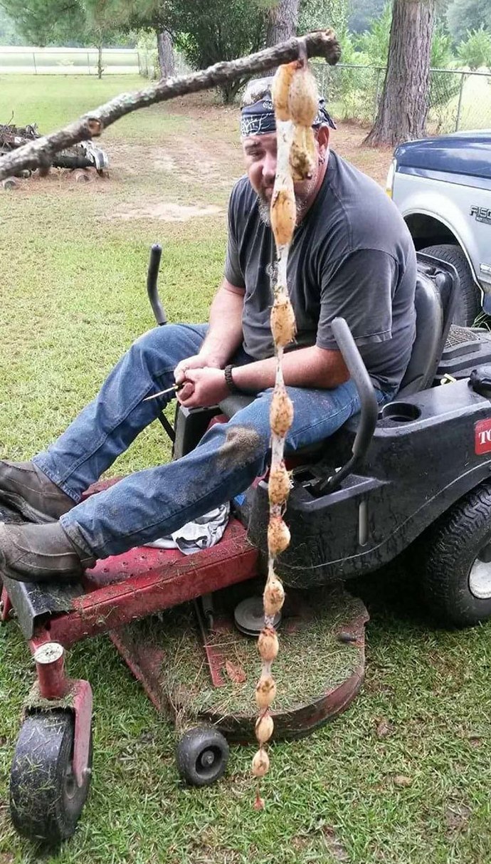 Когда только интернет сумел помочь найти ответ на возникшие вопросы